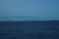 
DSC00506